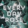 everydayrose everydayrose